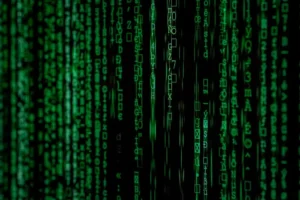 Read more about the article A Leap Into The Startup Void